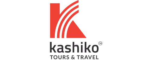 logo design in nashik